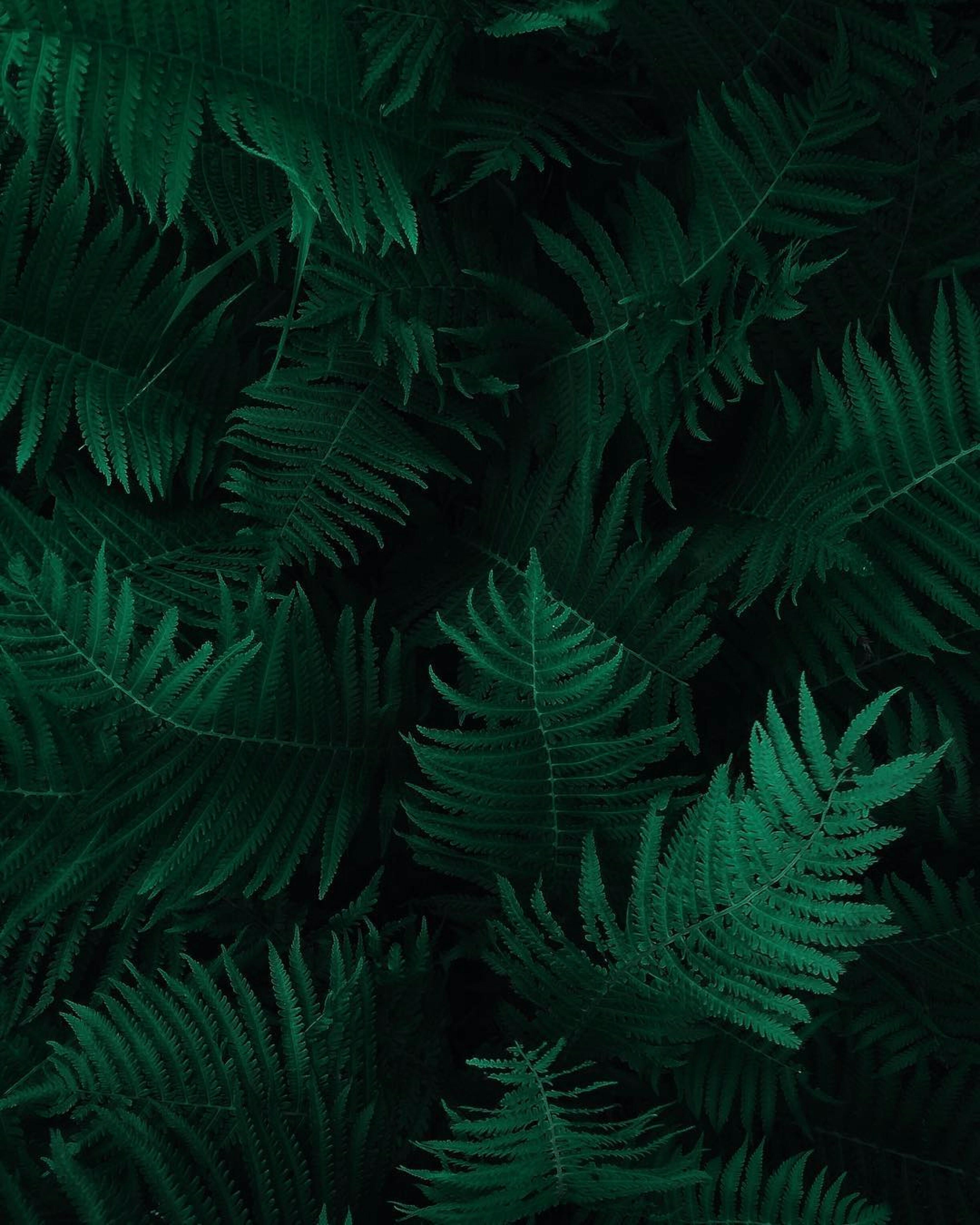 Decorative