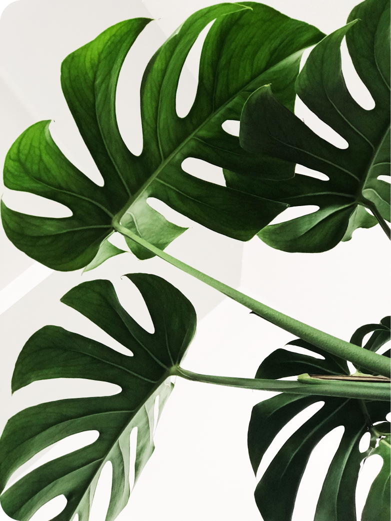 Decorative